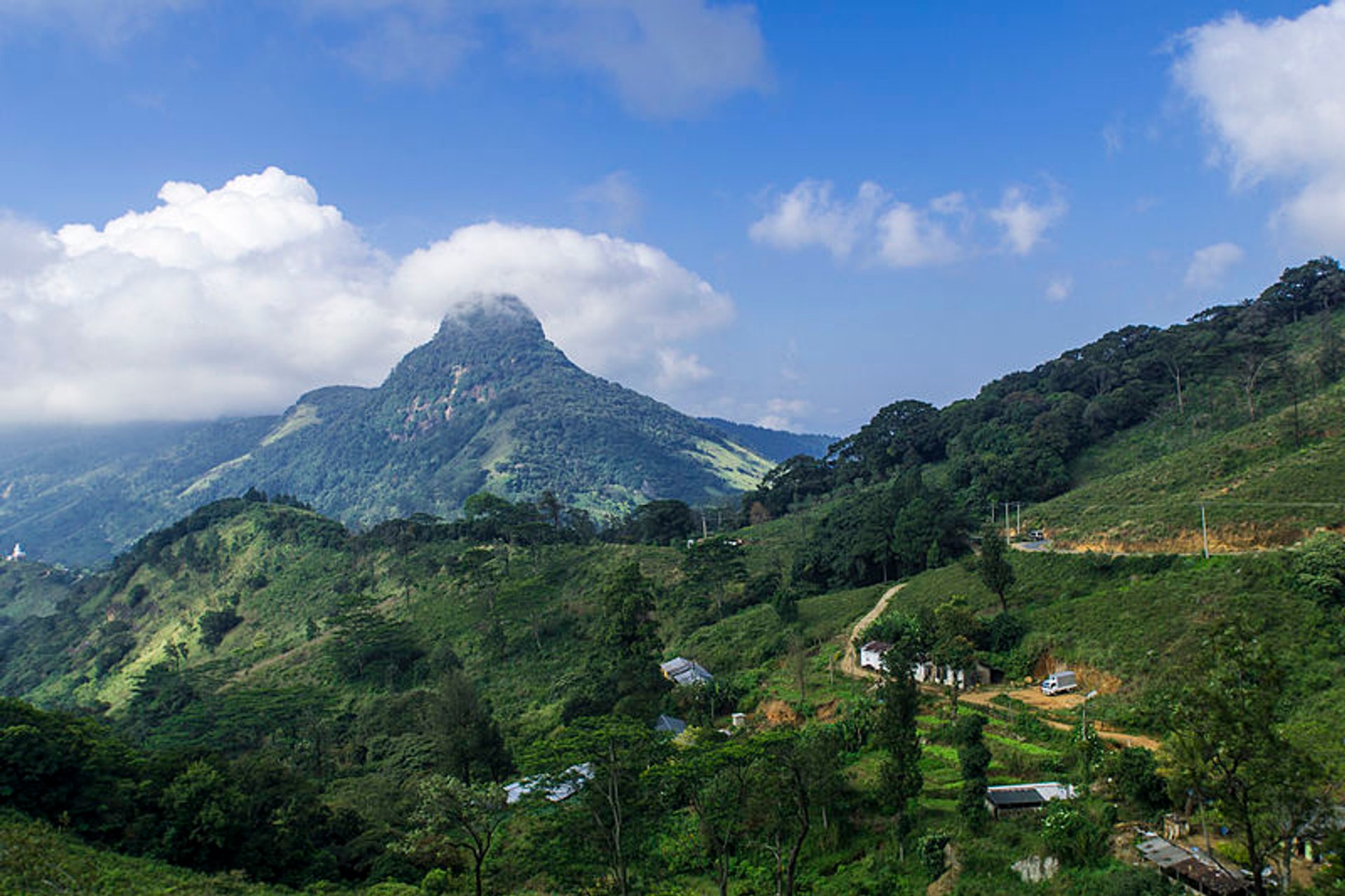 Knuckles Mountain Range